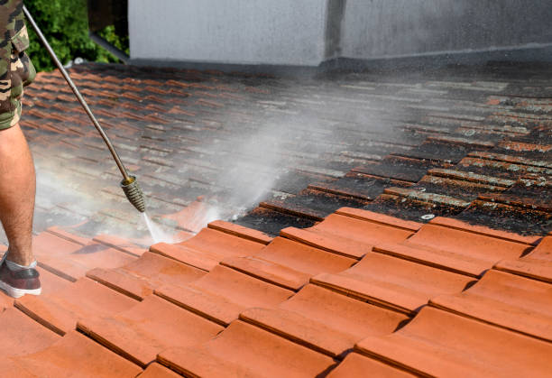 Best Sidewalk Pressure Washing  in Milan, TN