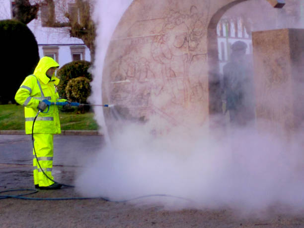 Best Local Pressure Washing Services  in Milan, TN