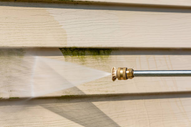 Best Best Pressure Washing Companies  in Milan, TN