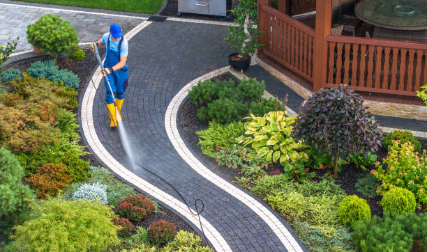 Best Pressure Washing Near Me  in Milan, TN